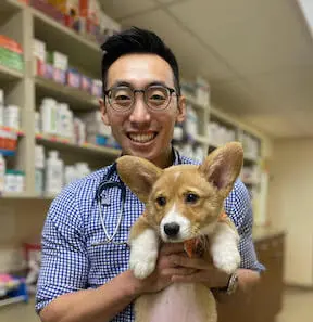 Dr. Andy Chiang with a corgi